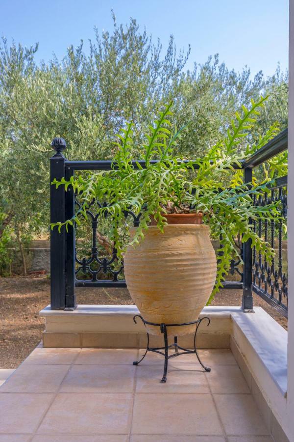 Lina'S Amazing House In Ialysos Vila Ixia  Exterior foto